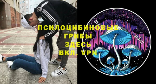 ешки Верхний Тагил
