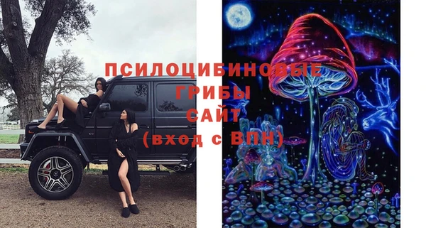 ешки Верхний Тагил