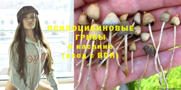 ешки Верхний Тагил