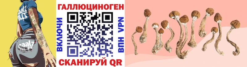 Галлюциногенные грибы мухоморы  Купить  Мураши 